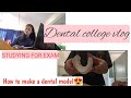 Dental college vlogfinal year mdspreparing for exam dentalcollegevlog dentalschoolvlogdentist