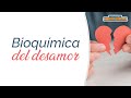 La bioquímica del DESAMOR 💔｜Dr. Armando Duarte