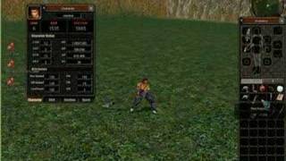 Metin2 Waffen+9 Hack