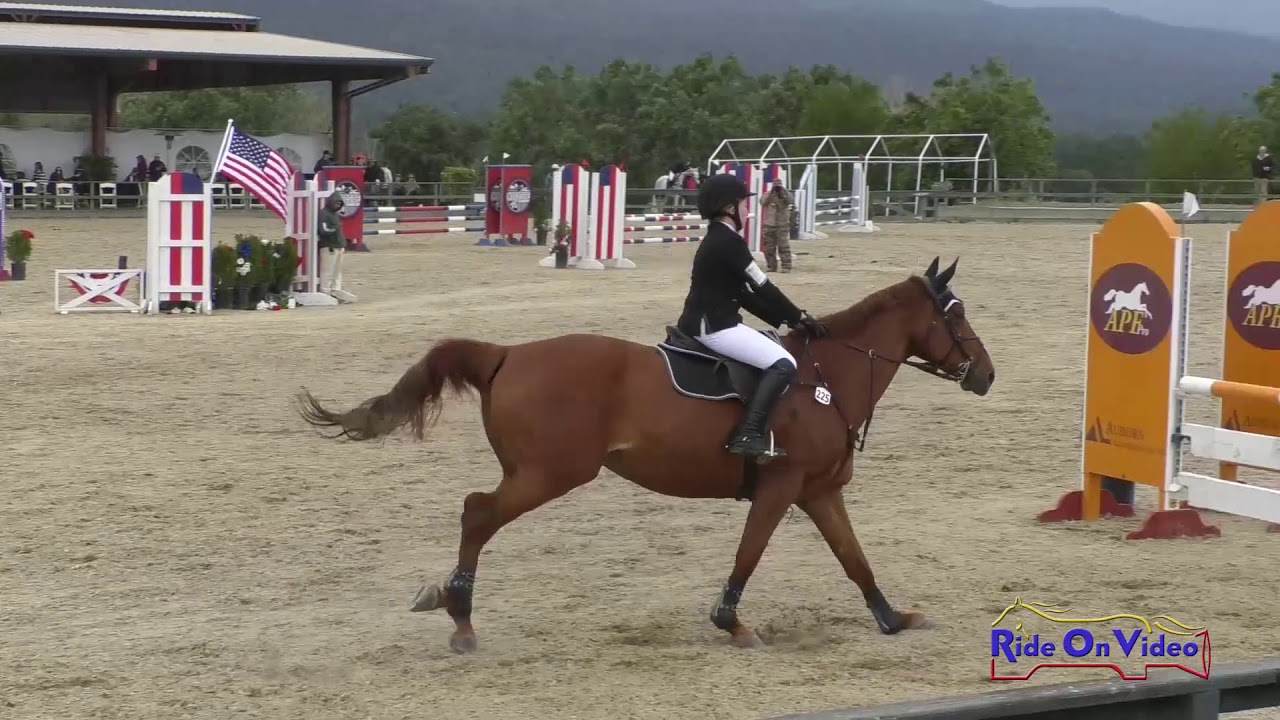 horseshoe bend 225S Maddie Hale on Firebolt JR Training Show Jumping Woodside May 2019