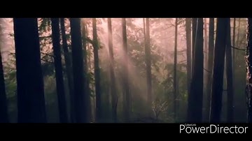 تلاوة صباحية هادئة تريح القلب والنفس لسورة الكرسي من سورة البقرة من القرآن الكريم