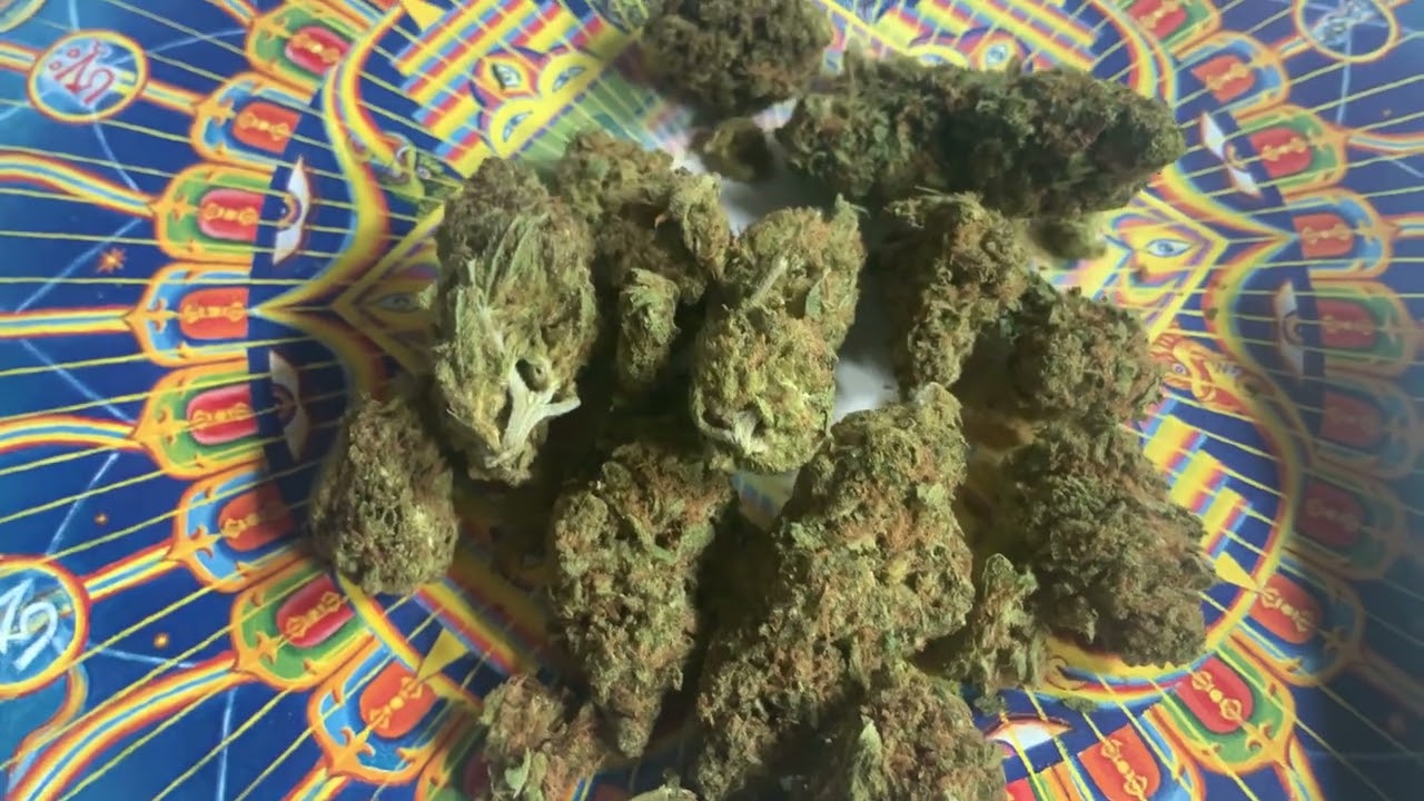 Medical Cannabis is Legal - MCCN - Lemon Sour Diesel