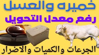 الخميره والعسل الاسود للعجول والابقار / فاتح شهيه للعجول التسمين والإبقار الحلاب