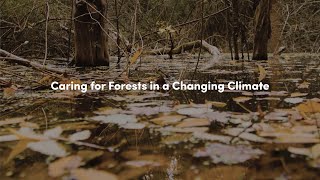 Caring for Forests in a Changing Climate