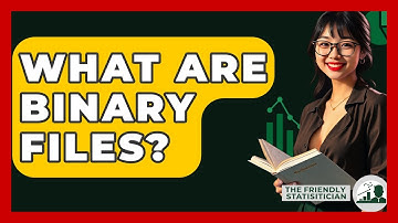 What Are Binary Files? - The Friendly Statistician