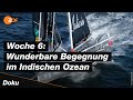 Vendée Globe: Pech und geheime Reparaturen | SPORTreportage - ZDF