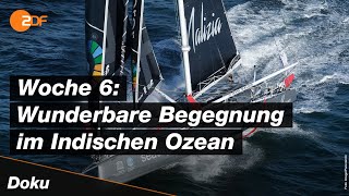 Die spitzengruppe der vendée globe hat den indischen ozean in
sechsten woche hinter sich gelassen. segler*innen haben alle mit
reparaturarbeiten und ...