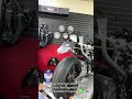 Tiger undertail for ZX14✅😎
