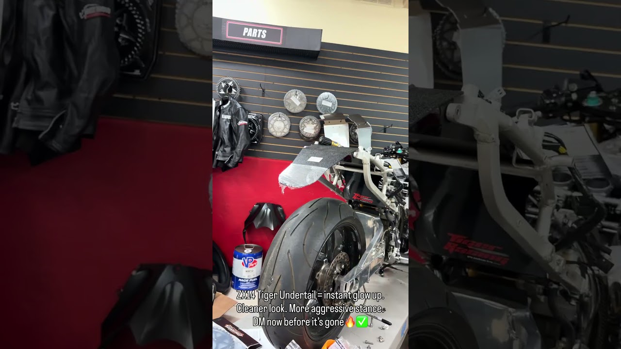 Tiger undertail for ZX14✓😎 - YouTube
