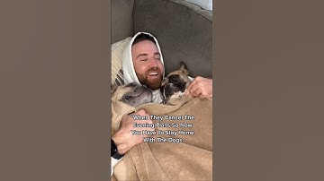 What am i going to do!!? #dogparents #frenchbulldog #introvert #nightin