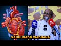 Xanuunada Wadnaha Ku Dhaca Iyo Sida Looga Hortago Dr Maxamed Xasan Xanuunada Wadnaha Ku Dhaca Iyo Sida Looga Hortago Dr Maxamed Xasan