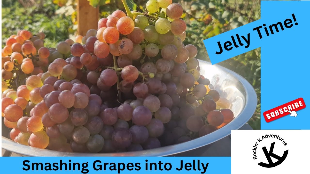 Making and Canning Grape Jelly DIY Urban Homesteading EXPAT