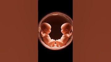 Inside the Womb 3D Animation #baby #3d #womb #shorts #shortvideo
