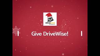 DriveWise Driving School