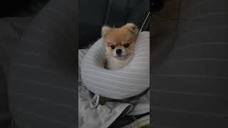 아프지마 ㅠㅠ