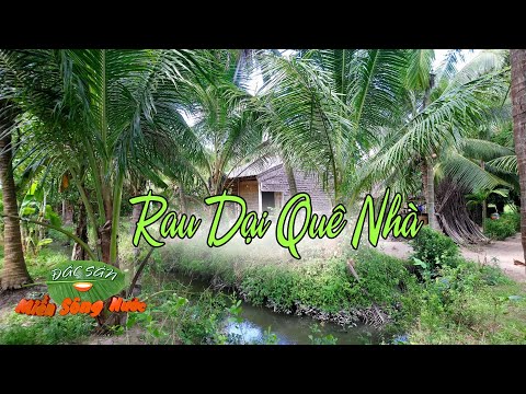 Video Rau dại quê nhà, những mùi vị thân quen mà người miền... - youtube