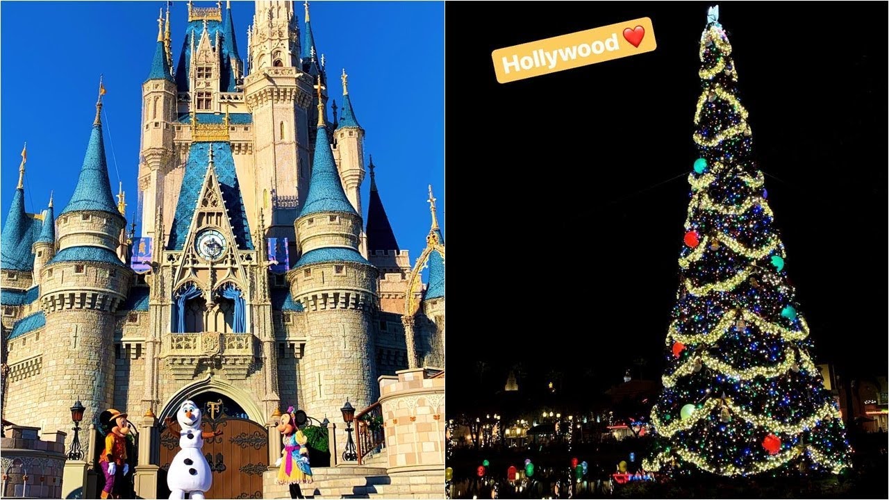 NOVO INSTAGRAM DO LUCCAS NETO