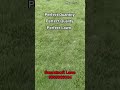 Perfect Lawn Grass For Yard... know all just watch Samratsoft #lawngrass #naturallawn #lawnindia