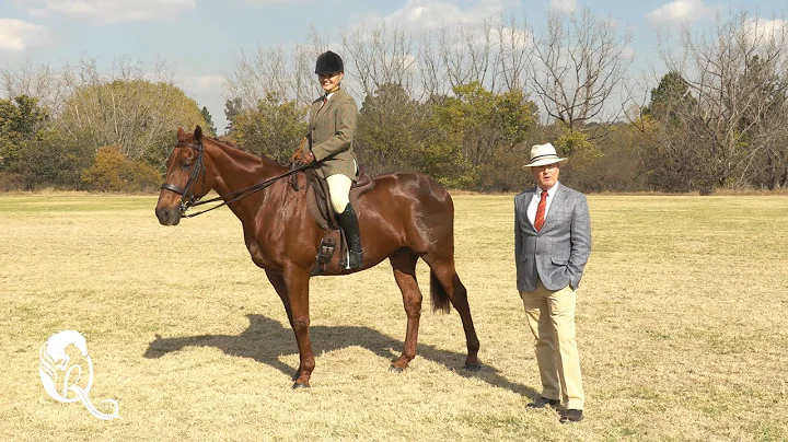TQRI Gregory Goss  - Show Hunter Class