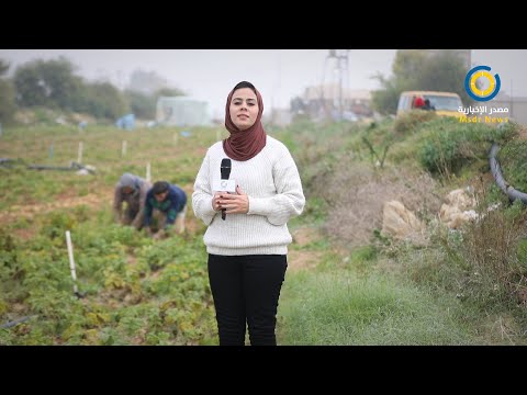 تردي أوضاع الزراعة في غزة يُنذر بواقع مأساوي للمزارعين