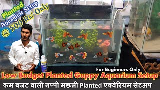How to setup Low budget Planted Guppy fish tank setup