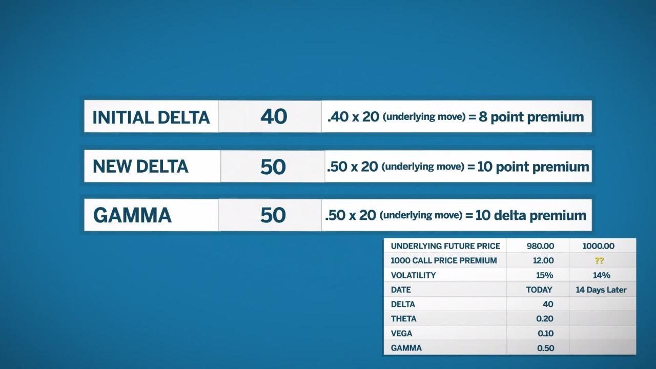 Options Premium and the Greeks