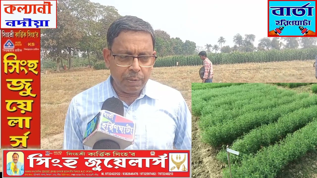 বিধানচন্দ্রের আবার আবিষ্কার বিধান লেনটিন১৬  মুসুরি#youtube#bartaharinghata#news#