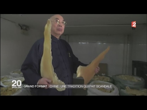 Vidéo: Des Chinois En Ragoût Contre La Menace Des Ailerons De Requins En Californie