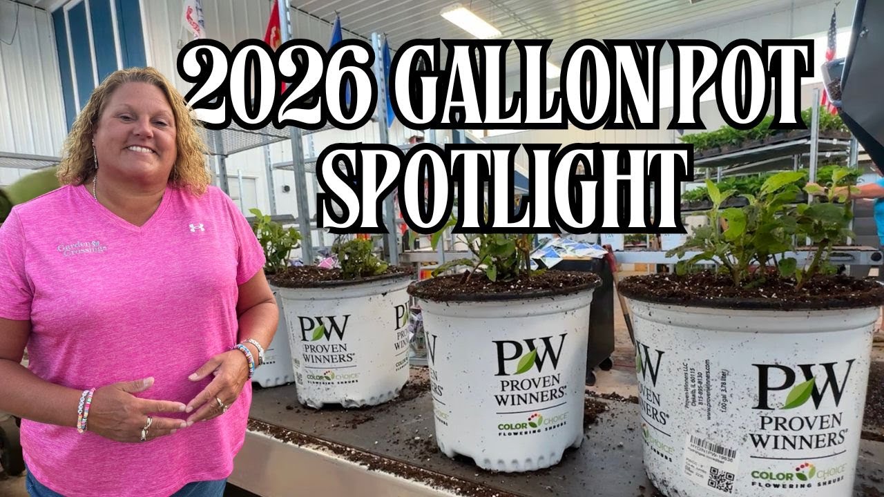 Behind The Scenes At Garden Crossings | How We Prep Our 2026 One Gallon Shrubs 🌱