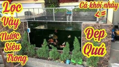 Riview: Hồ Cá Koi 2,6 Khối Đẹp - Chia Sẻ Bộ Lọc Nuôi Cá Koi Nhật Phát Triển Tốt.Hồ E Huy Ở Thái Bình