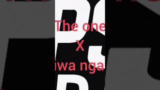 The One X Ziwa Ngale