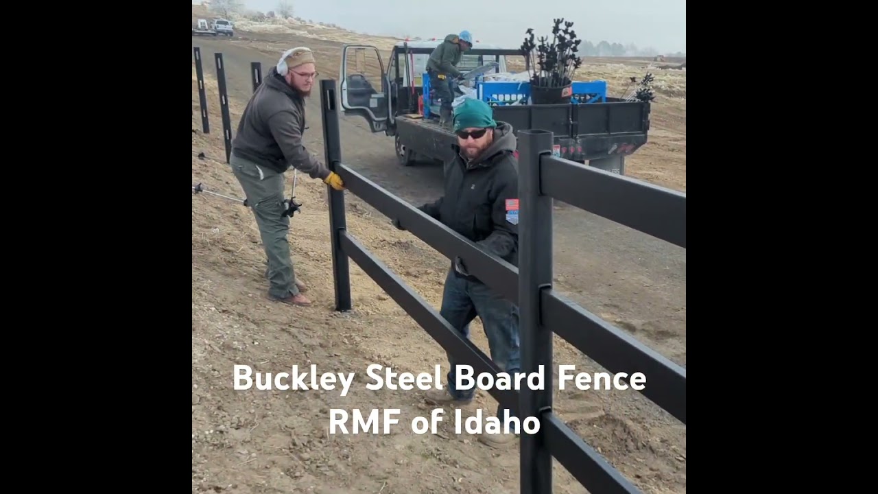 Speedy Buckley Fence Install