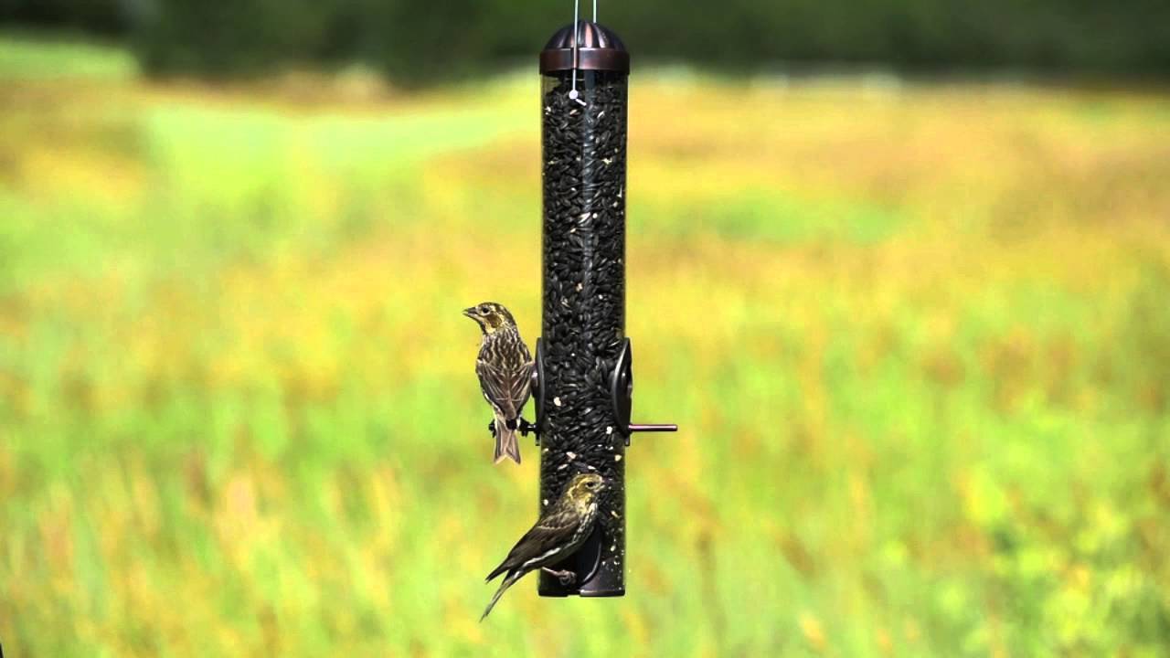 Perky-Pet® Copper Wild Bird & Finch Feeder™