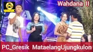 Download lagu Wahdana II - Hj.Romlah Hasan (Cover Hajatan) @suwandichrome6383