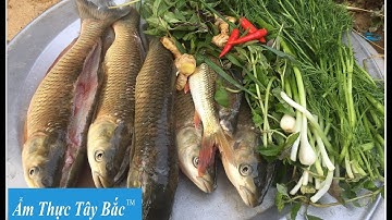 Cá Nướng Gập " Pa Ping Tộp "- Ẩm Thực Tây Bắc