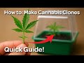 Cloning Cannabis - How to make your own Cuttings - Quick & Easy Guide