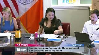 06/26/2026 13:07 New York City Council Video  City Hall Committee Room  260626 130751