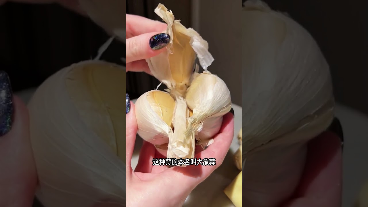 巨型大蒜#百科密码#科普#funny - YouTube