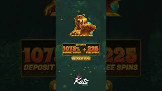 Beary world casino Game offer | katscasino Games Bonus screenshot 3