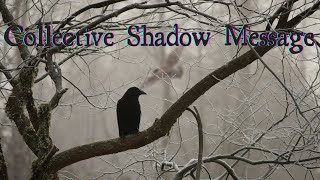 Collective Shadow ~ Message from the Crows