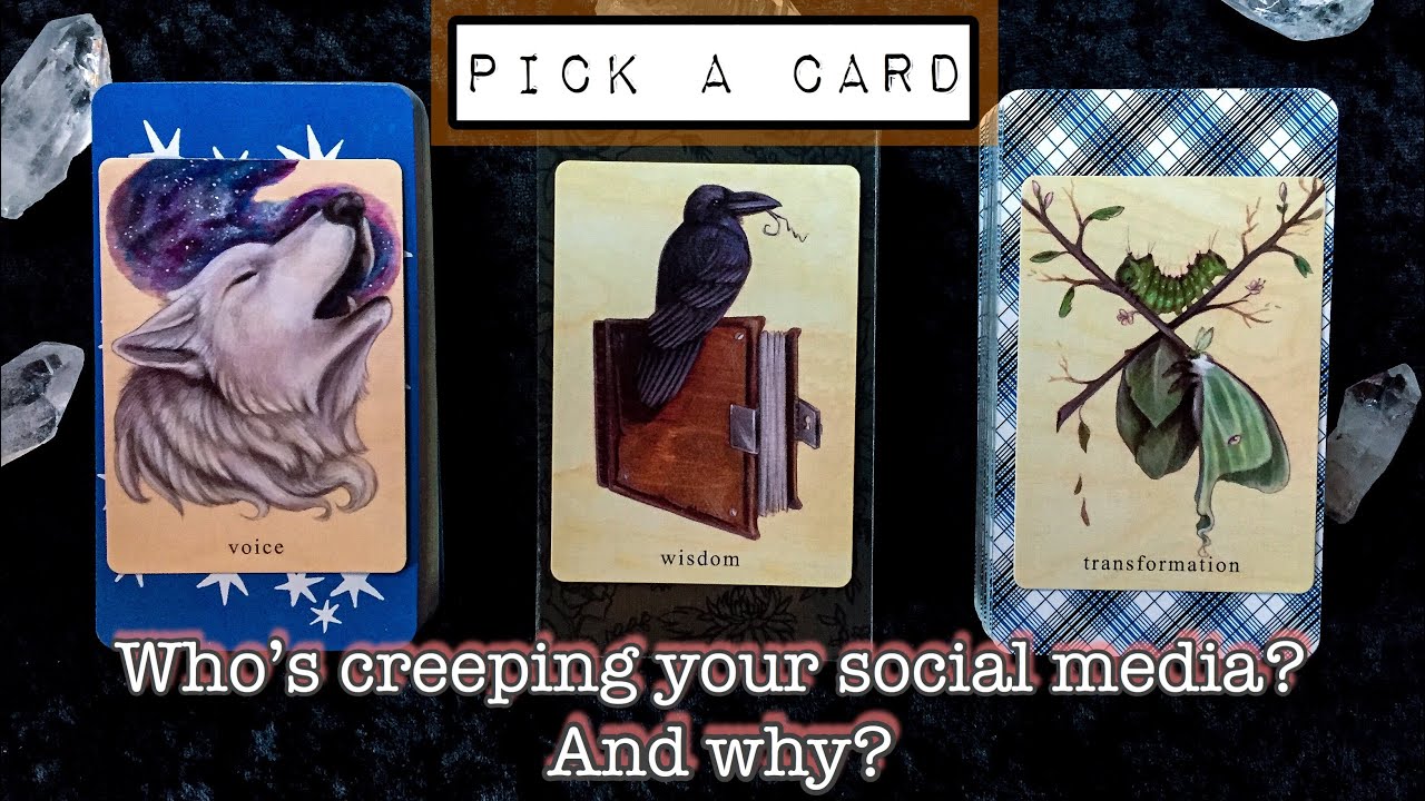 PICK A CARD 👀 WHO’S CREEPING YOUR SOCIAL MEDIA? AND WHY?