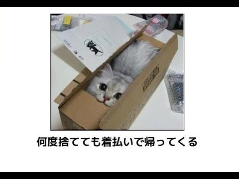 爆笑注意 爆笑しすぎて腹痛いbokete ボケて 画像まとめpart21 爆笑注意 爆笑しすぎて腹痛いbokete ボケて 画像まとめpart21