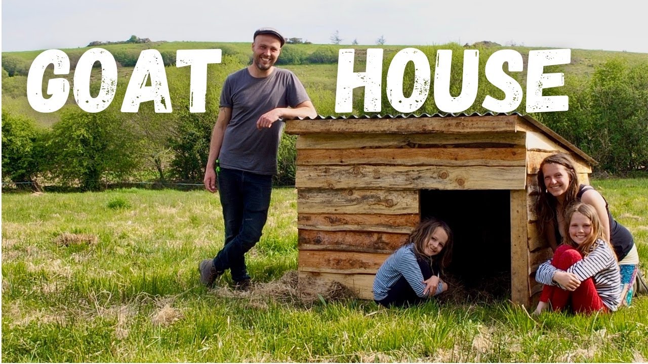 Building a Simple Goat house for our Pygmy Goats out of Pallets! Low