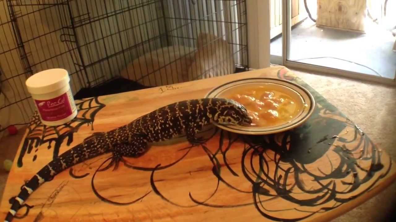 Pyro's diet - YouTube