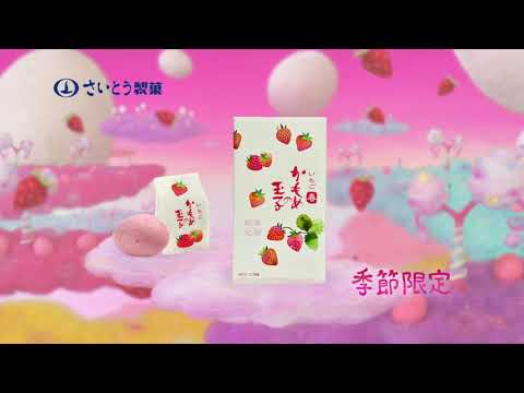 春限定『いちごかもめの玉子』CM動画　さいとう製菓