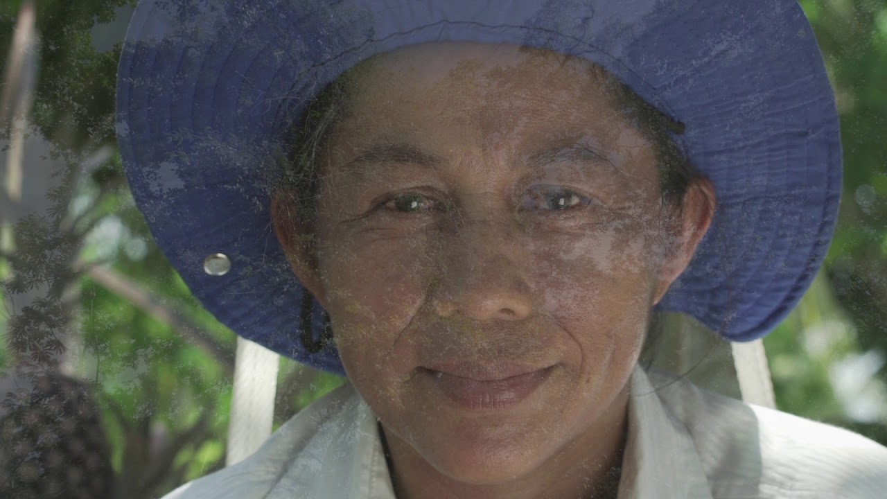 Spot Papa Francisco Sabios Indígenas