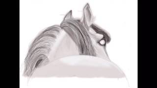 'Light Horse'. PROCREATE APP on iPad Pro using Apple Pencil screenshot 1