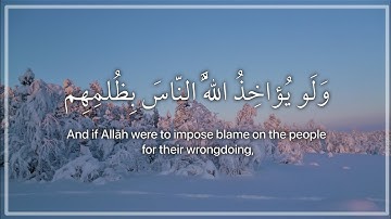 [ ولو يؤاخذ الله الناس بظلمهم ] مقطع قرآن قصير - القارئ عبدالرحمن مسعد
