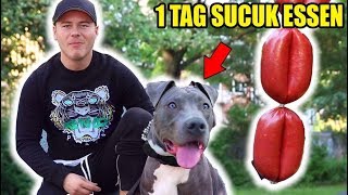 1 TAG lang mit meinem HUND nur SUCUK Essen !!! 😍🥩 ( EXPERIMENT )