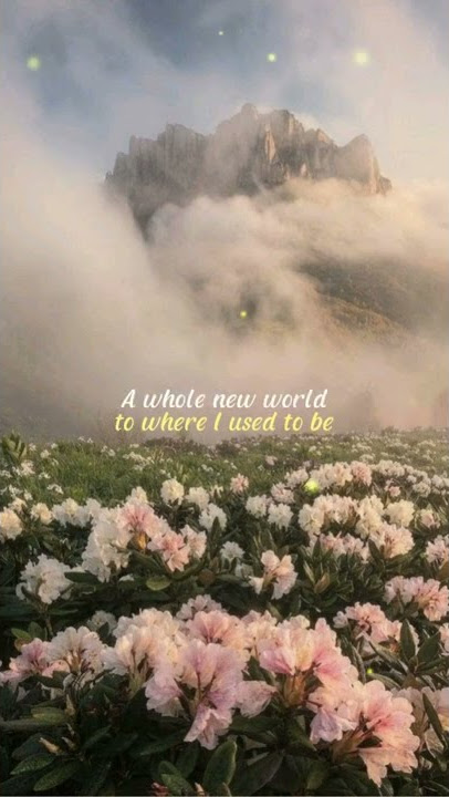 A Whole New World Lyric | Music Lyric | Story Whatsapp | Cover by Anji Manji & Kimi Hime | #shorts